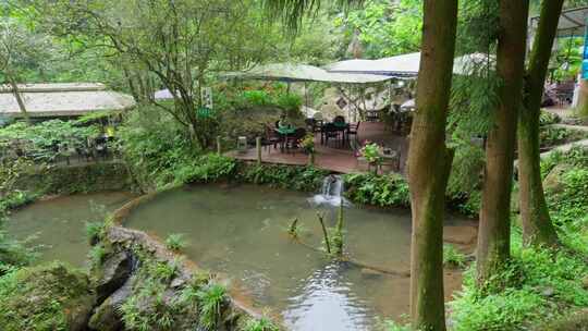 成都青城山后山峡谷森林步道溪流自然景观