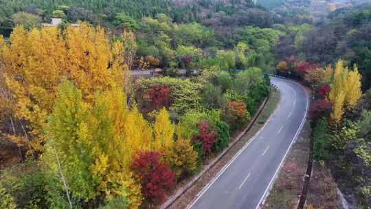 金色秋天旅游公路风景航拍