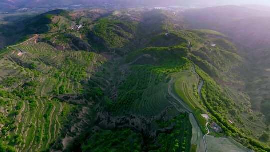 航拍甘肃黄土高原植被地貌