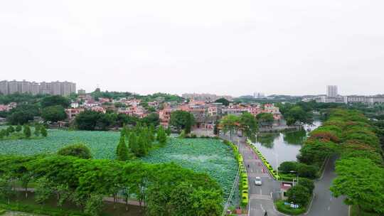 佛山丹灶镇仙岗村