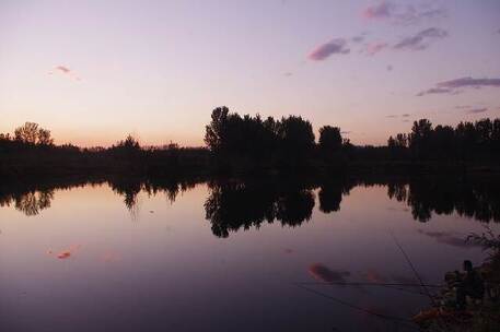 无声安抚 安抚 无声 抚慰 宁静 电影 无声安抚 安抚 无声 抚慰 宁静 电影