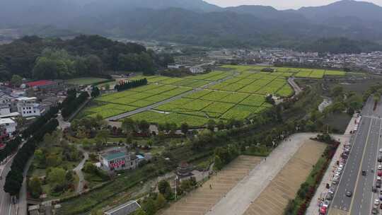 龙岩上杭县古田会议纪念馆会议会址油菜花田