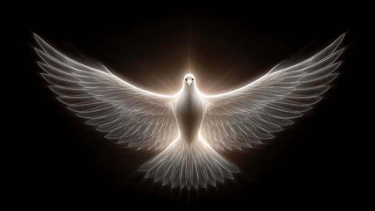 光芒四射的和平鸽象征希望与纯洁