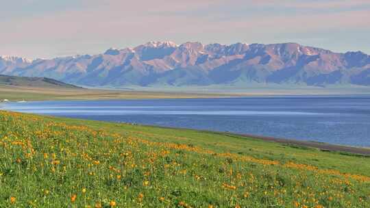 新疆赛里木湖美景