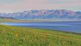 新疆赛里木湖美景高清在线视频素材下载