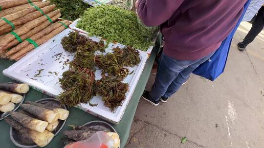 香椿春季野菜菜市场卖菜