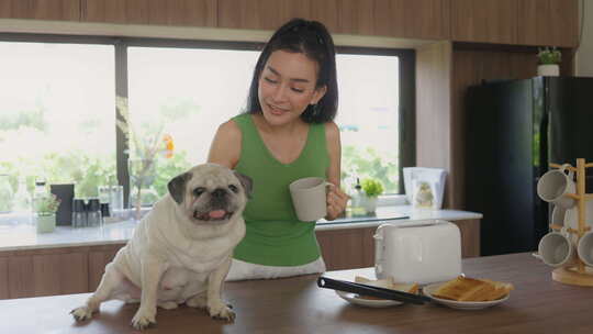 在现代厨房里与宠物哈巴狗一起享用早间咖啡