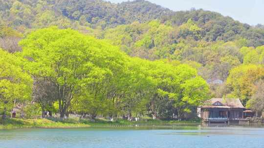 杭州西湖浴鹄湾春天风景