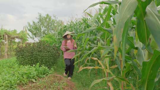 一个戴草帽的女人站在玉米地里