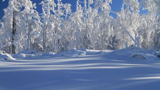 大兴安岭林海雪原雾凇