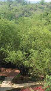 竖版航拍广西崇左雨花石4A景区