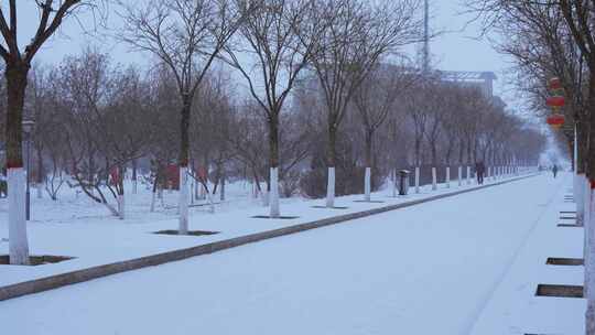 城市街道人文下雪雪景