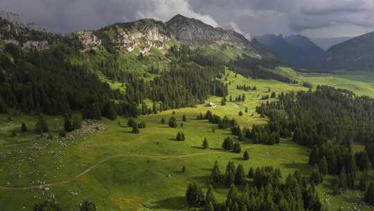 完美的光线照耀着法国阿尔卑斯山的草地
