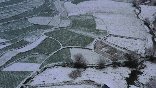 白雪覆盖农田