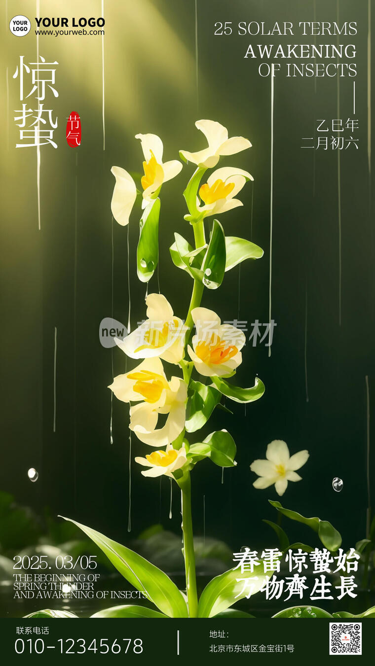 惊蛰二十四节气创意时尚简约海报