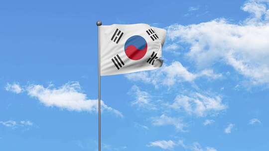 韩国国旗视频素材模板下载