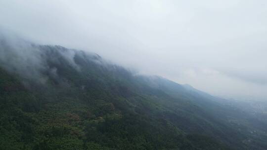 重庆山火后，北碚缙云山迎来降雨，云雾缭绕