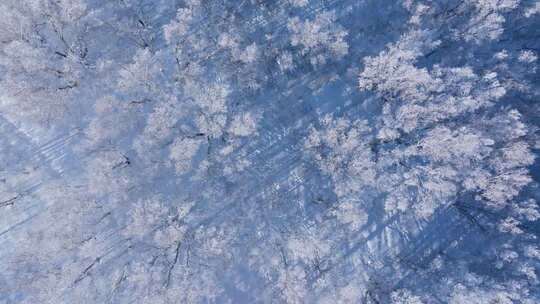 【合集】4K航拍内蒙古乌兰布统雪景雾凇雪原