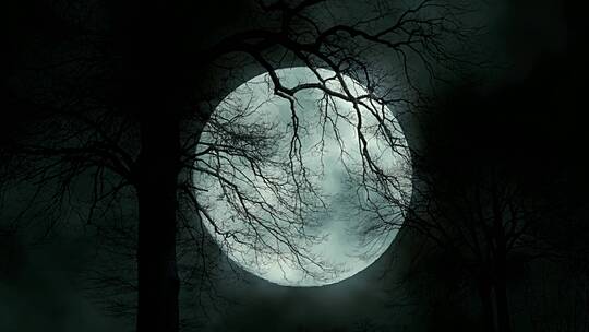 月黑风高 悬月