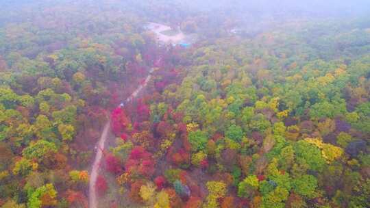 航拍吉林拉法山国家森林公园蛟河红叶谷秋景