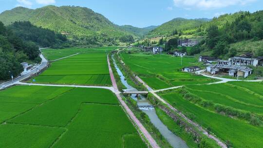 水稻航拍绿色油油稻田麦浪夏季乡村振兴农村