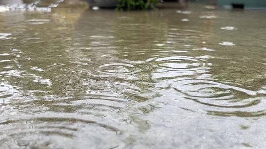 地面上的水