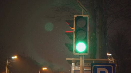 雪中交通信号灯