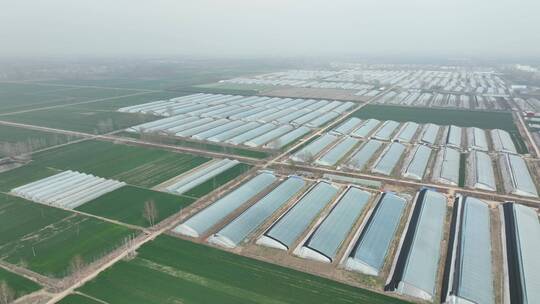 大疆航拍乡村田野温室大棚