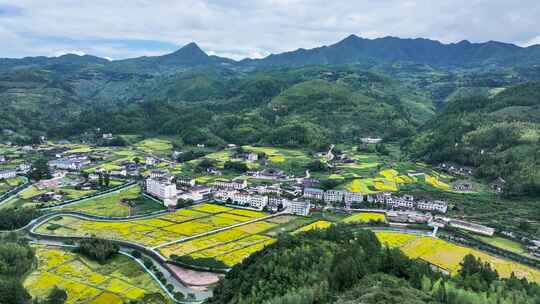 金黄色大片稻田乡村振兴大地丰收秋季航拍