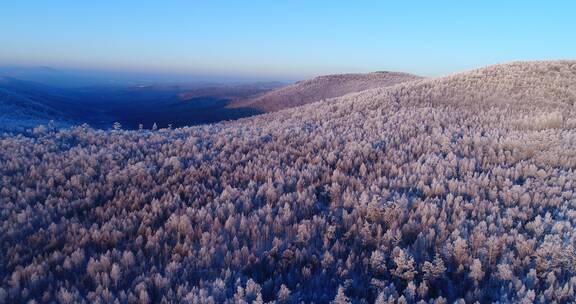 航拍大兴安岭冬季雪域山林风景