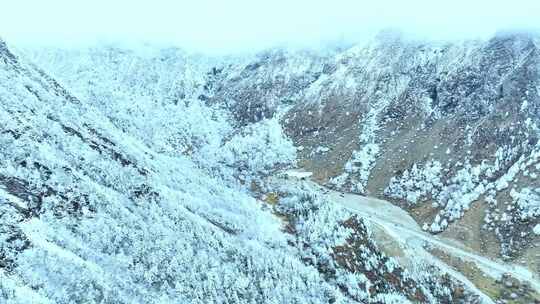 云雾缭绕的雪山自然风光全景