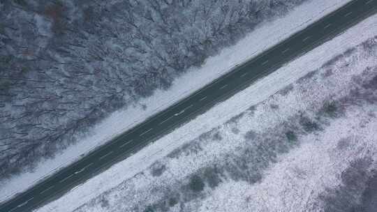 冬季森林里雪地公路上行驶的汽车