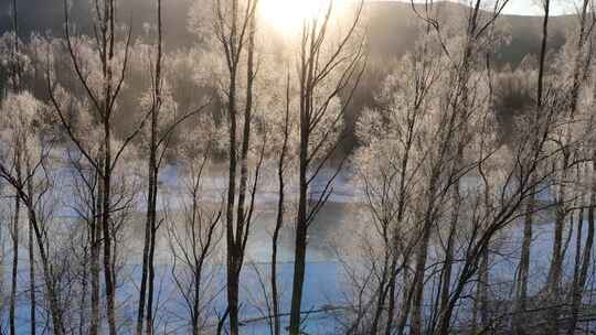 雪原冰河晶莹树挂冻雾朝阳