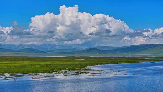 黄河湿地美景