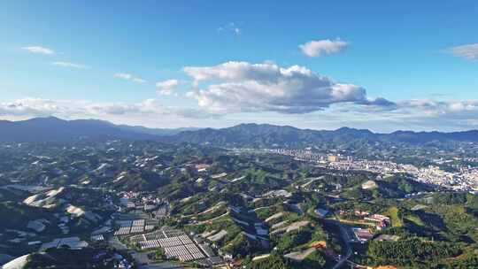 江西赣州赣南寻乌县脐橙种植基地航拍