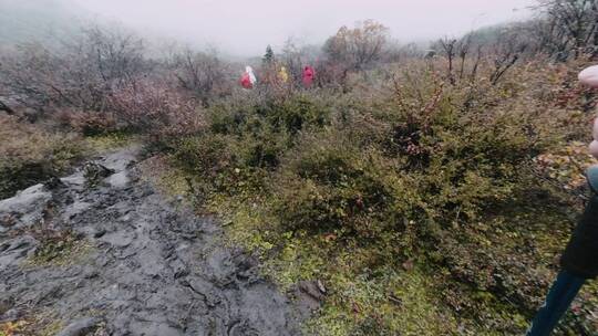 雨崩冰湖徒步延时