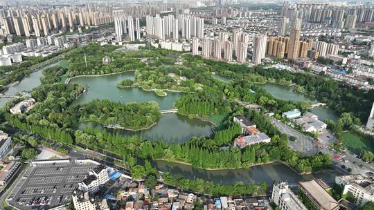 绿意葱葱的钵池山公园夏季江南园林风景