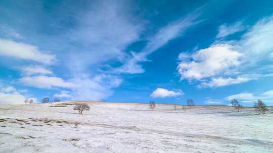 冬季内蒙古乌兰布统蓝天白云雪景