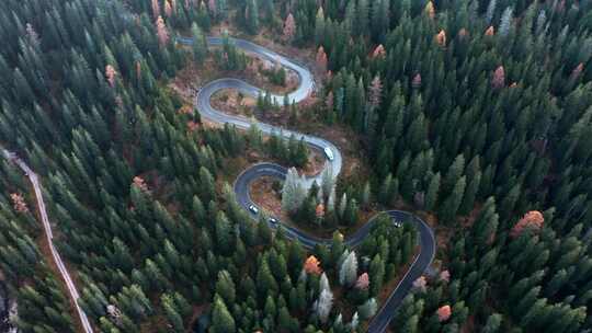 森林山地盘山公路