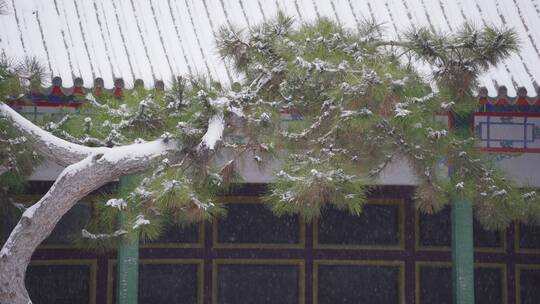 实拍古建筑雪景视频素材模板下载