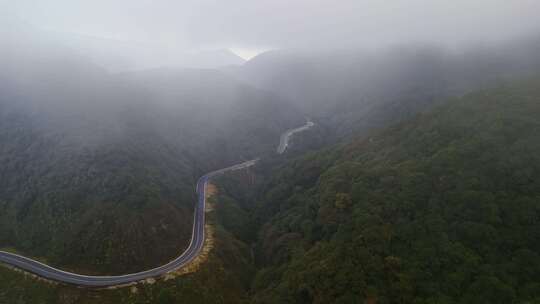 云雾中的原始森林盘山公路