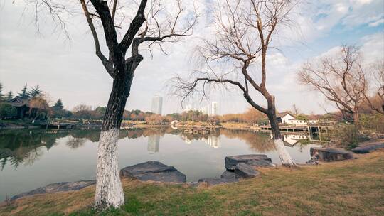 杭州市钱塘区消防主题公园美丽风景延时视频