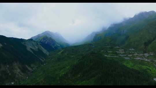 山川云雾 高山 森林植被