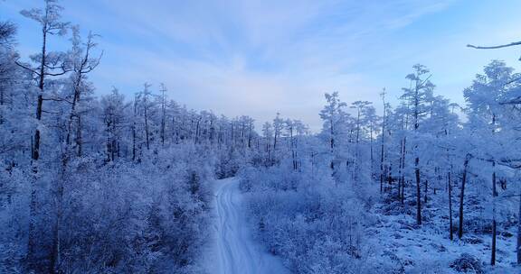 航拍大兴安岭冬季雪林山路风景