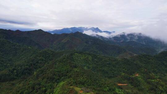 广东茂名高州大坡农村清湖大山雾气太阳