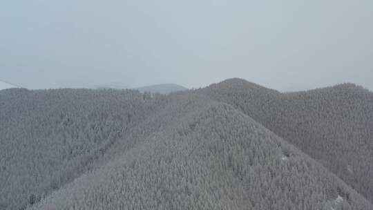 大雪过后的五台山