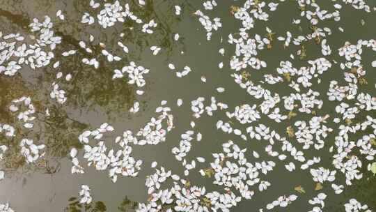 流水落花