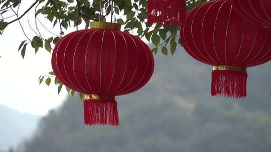 悬挂在树枝上的红色灯笼