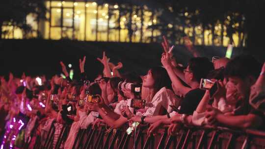 音乐节演唱会年轻人排队挥舞双手视频素材模板下载