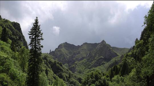 青海互助扎龙沟景区延时摄影视频